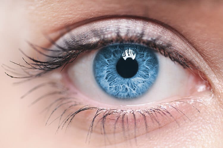 Closeup of a Blue Eye